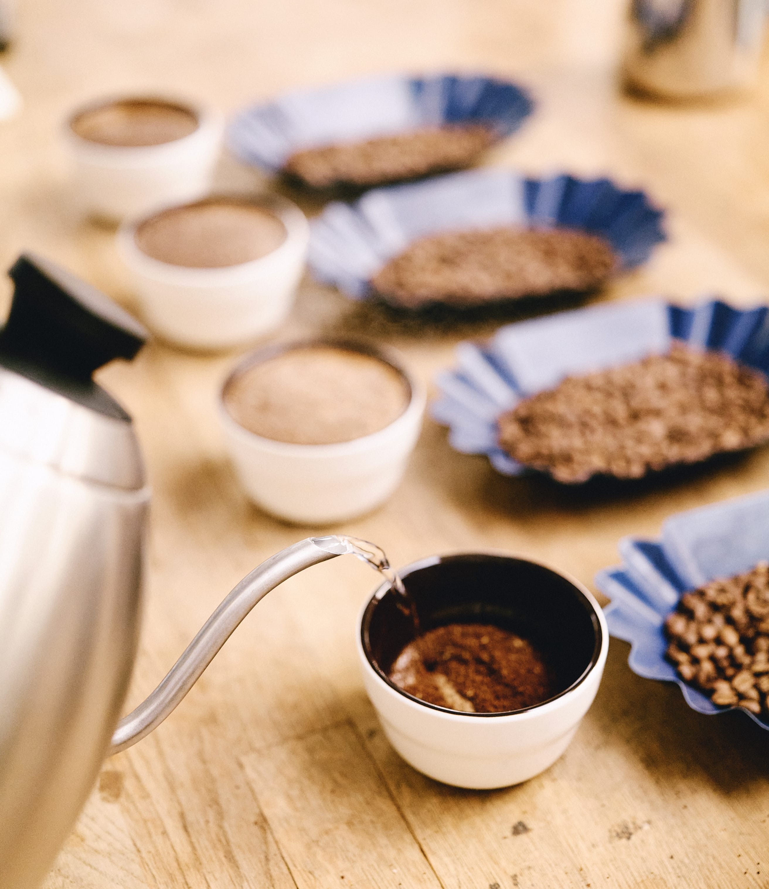 Barista Foundations Course