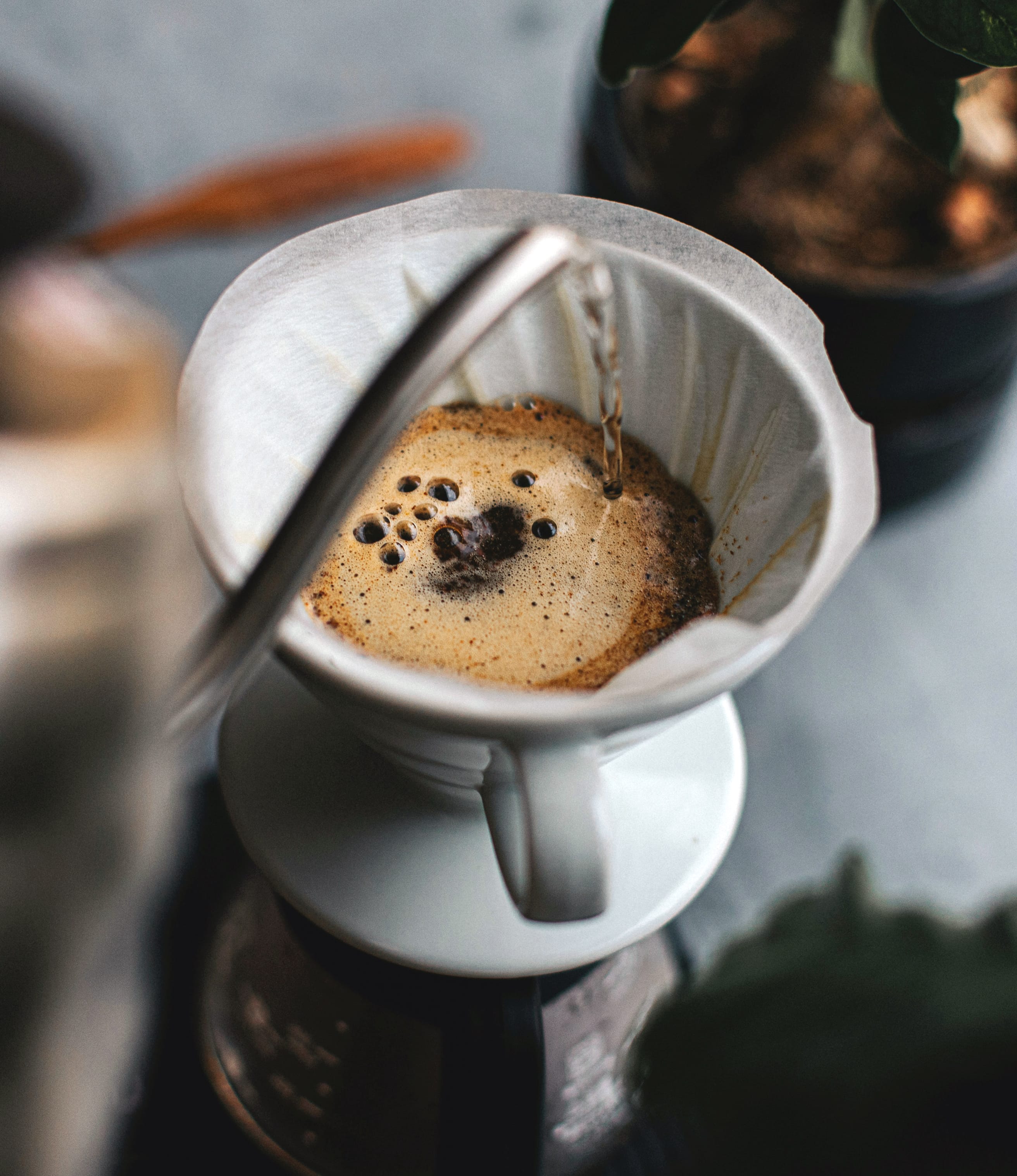 Home Brew Coffee Course